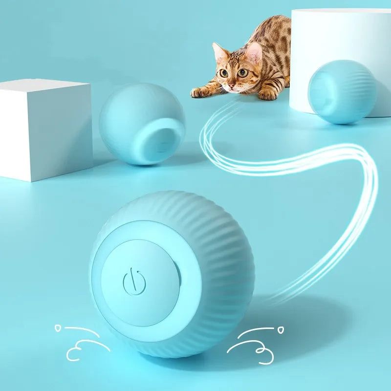 Play & Enrichment